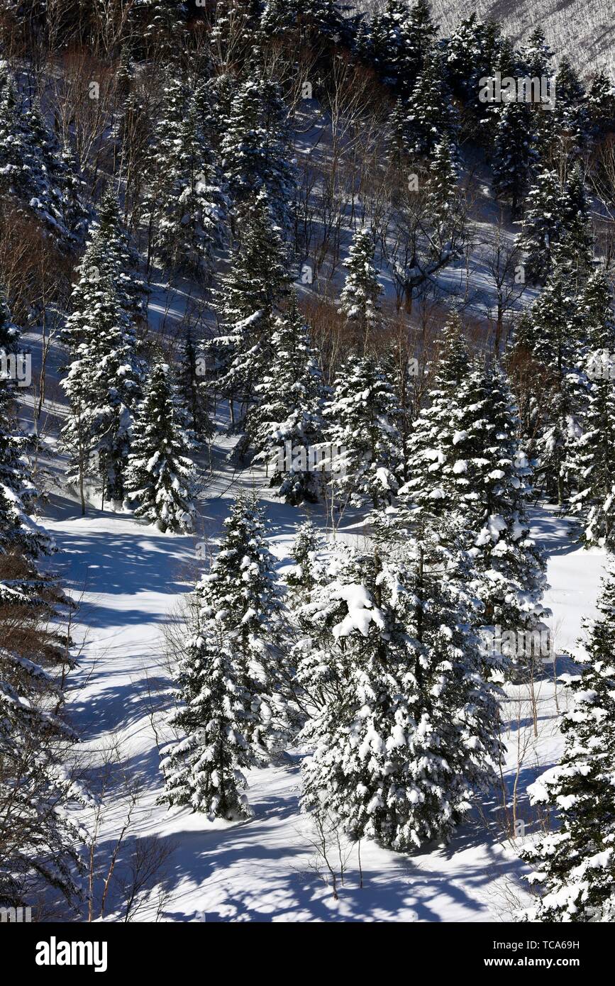 japanese-alps-mountain-from-shin-hotaka-gifu-prefecture-japan-asia