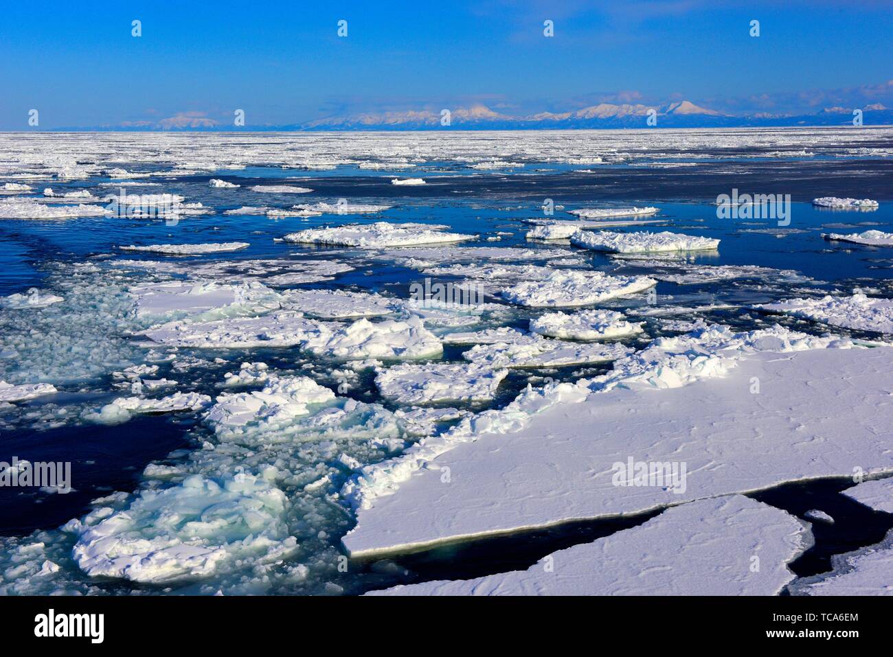 Abashiri ice drift in cold ocean in Hokkaido, Japan, Asia. Stock Photo