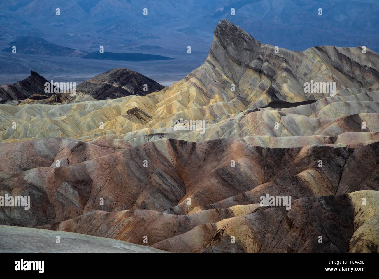 The eroded sandstone rock formations of Zabriske Point at Death Valley National Park, California. Stock Photo