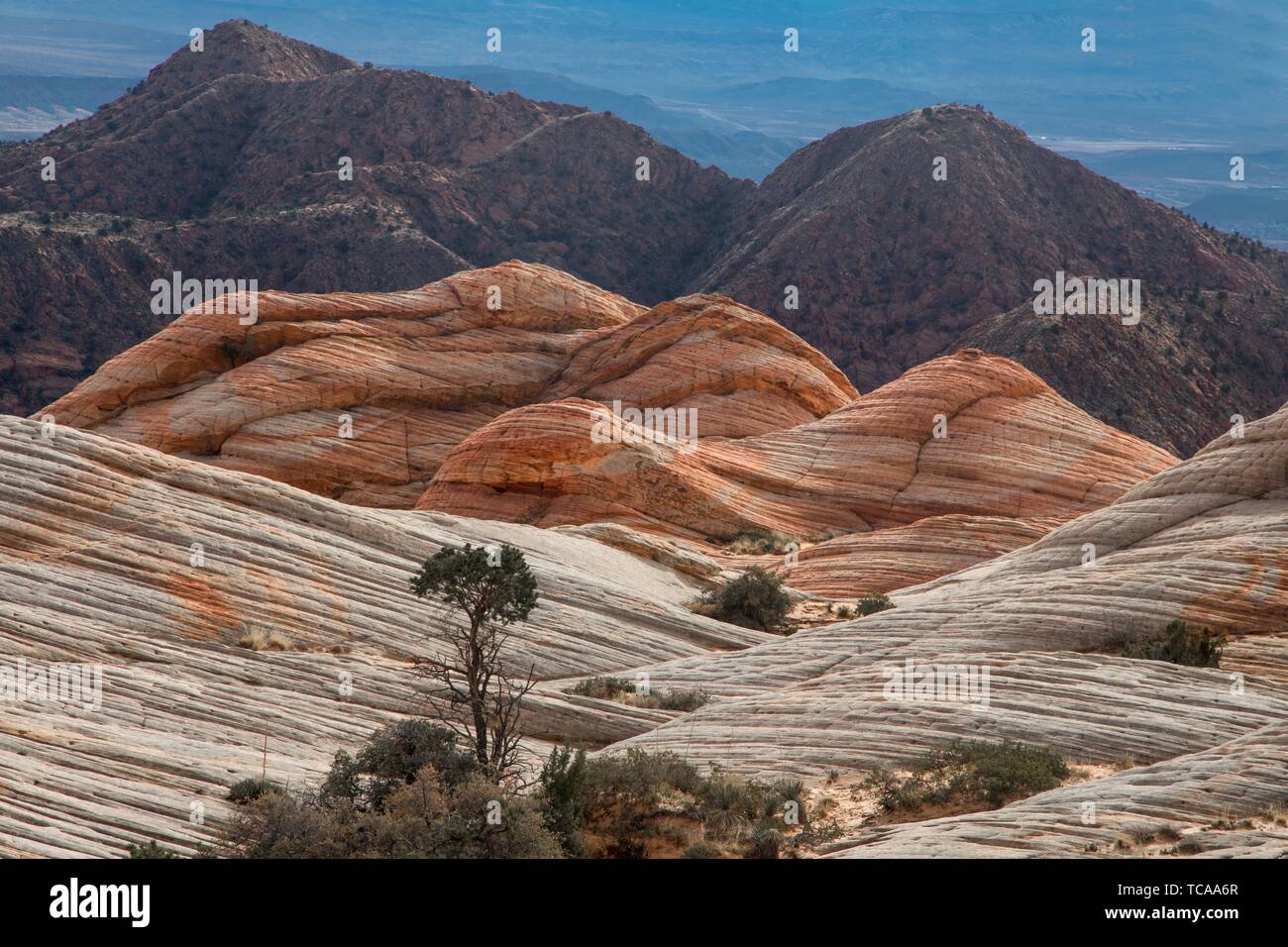Blm land hires stock photography and images Alamy