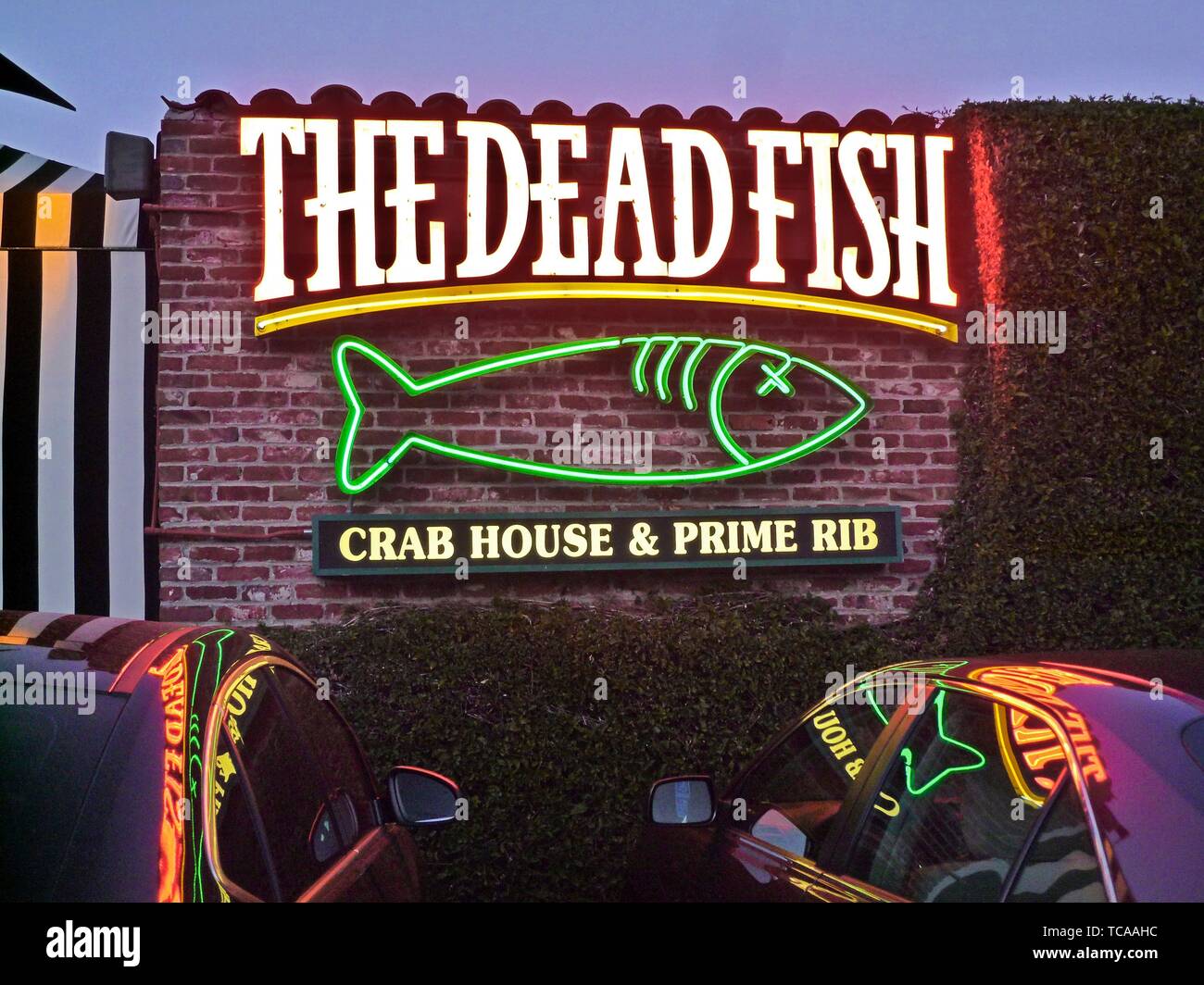 Dead 2024 fish restaurant