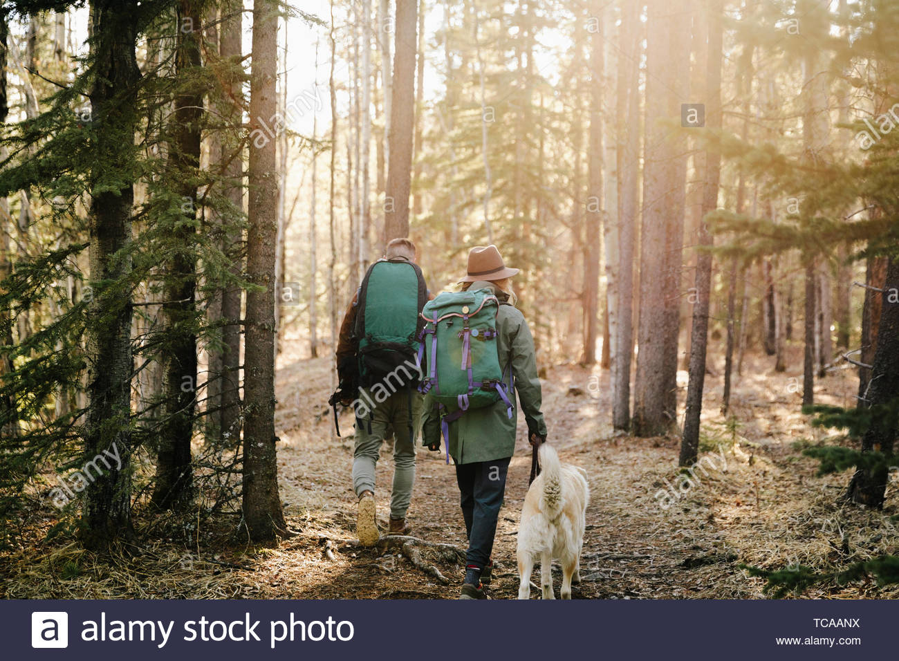 Couple with dog hiking in woods Stock Photo