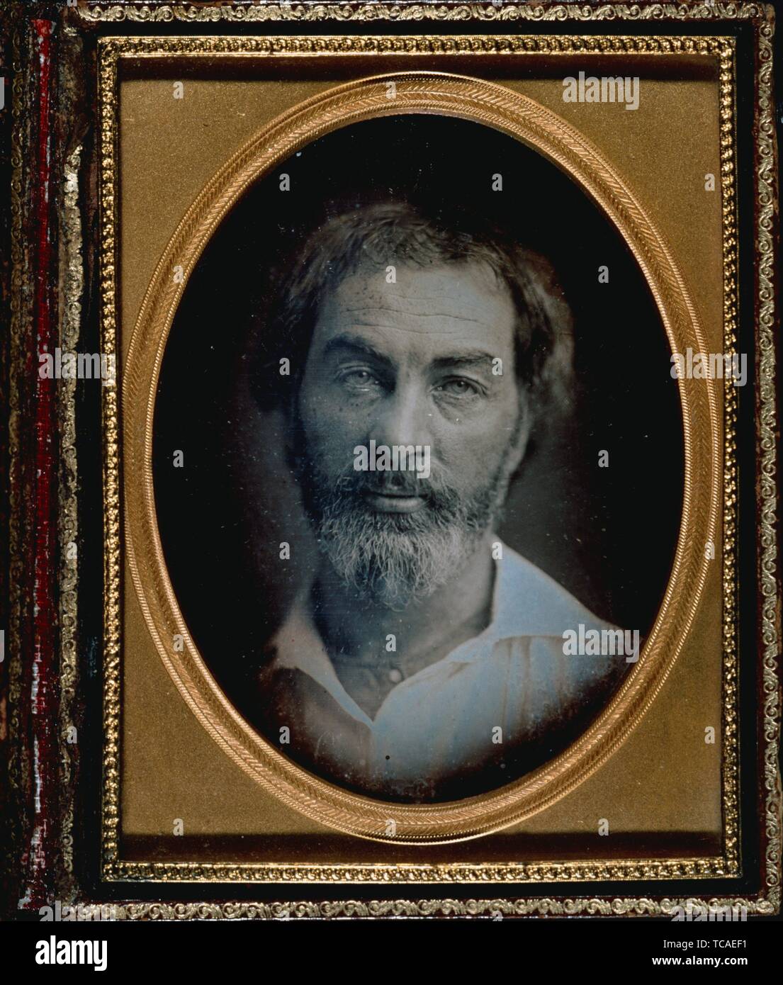 Daguerreotype portrait of Walt Whitman. Lion, Oscar (Collector). Oscar Lion Collection Portraits of Walt Whitman. Date Created: 1853 (Approximate). Stock Photo