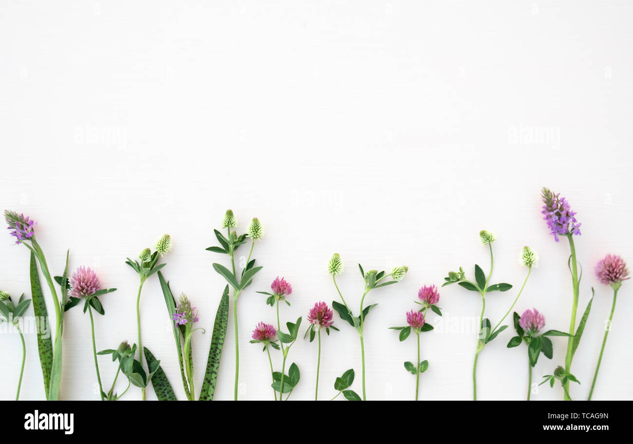 Flower composition. Summer flowers on pastel pink background. Top view, flat lay. Stock Photo