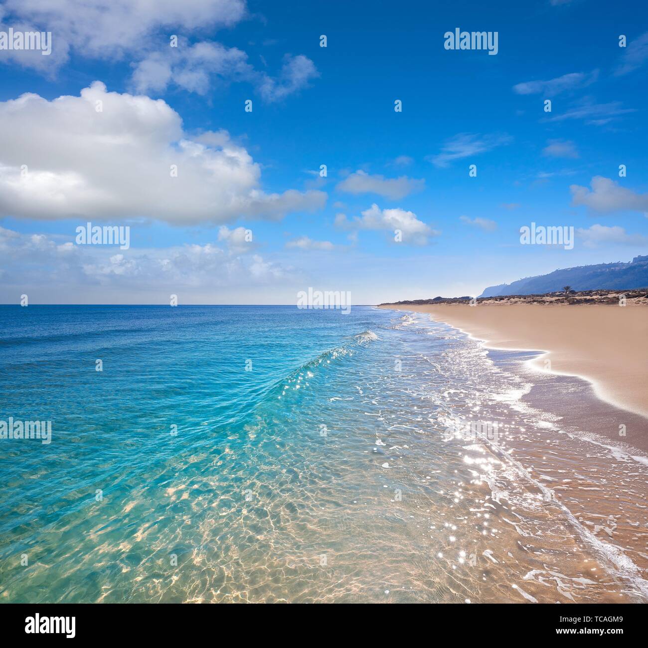 El Carabassi beach in Elx Elche of Alicante in Spain at Costa Blanca ...