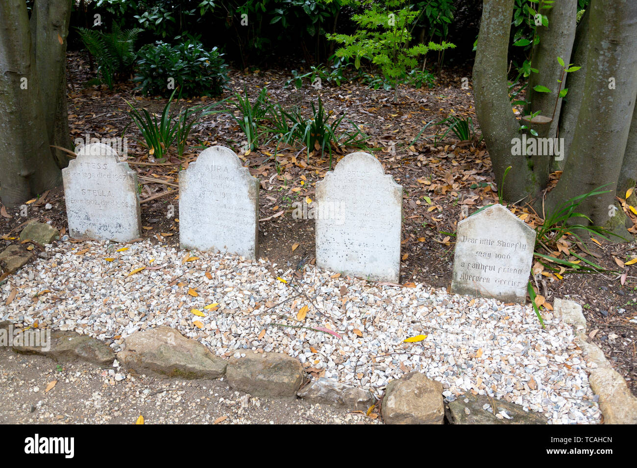 Dogs graves at Abbotsbury Subtropical Gardens, Dorset, England, UK Stock Photo