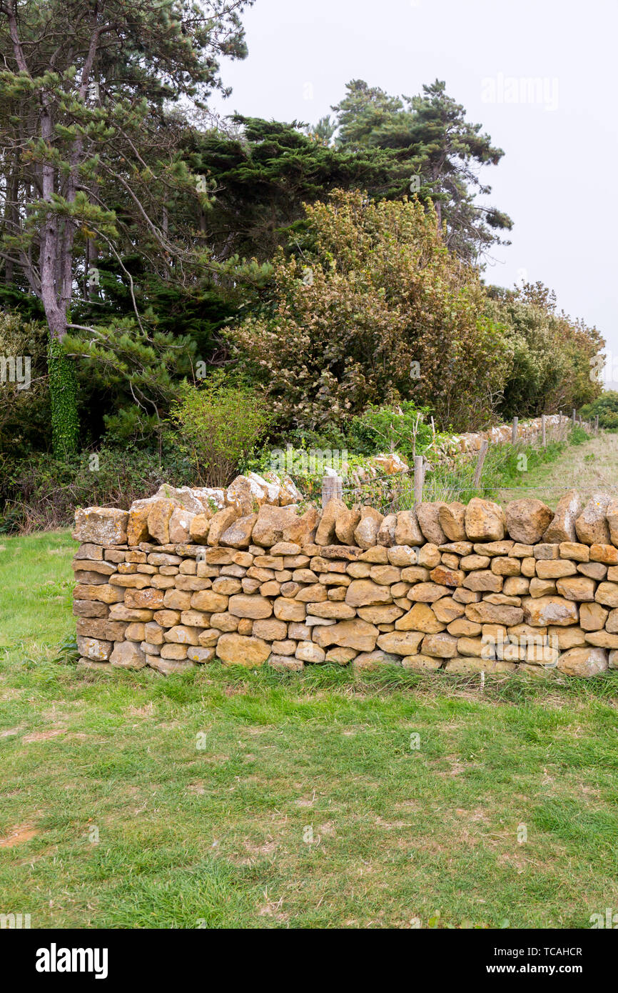A dry stone wall at the Jurrasic Coast View Point, Abbotsbury Subtropical Gardens, Dorset, England, UK Stock Photo