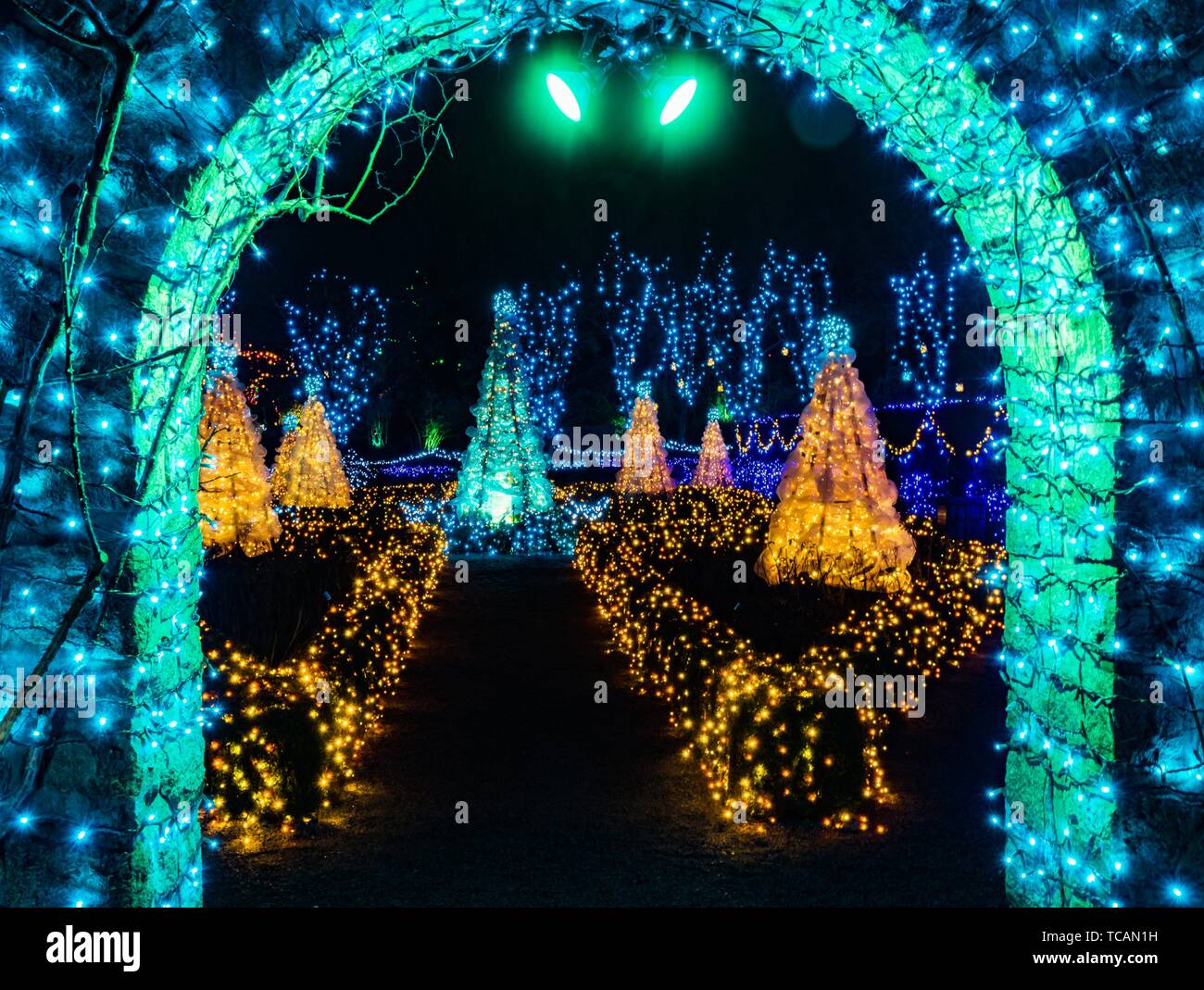 Blue Green Yellow Arch Christmas Lights Van Dusen Garden Vancouver British Columbia Canada Stock