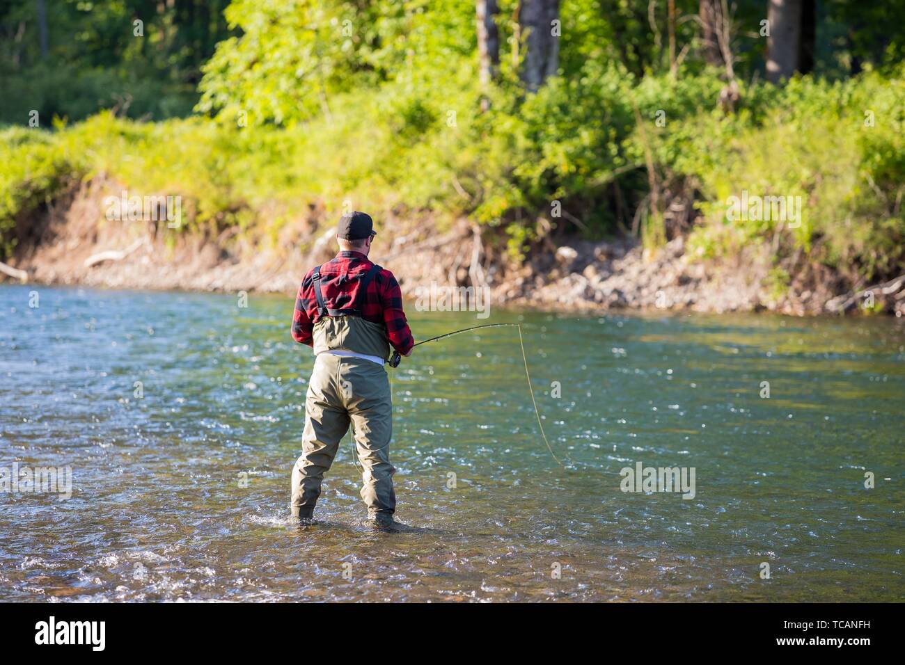 Fly fisherman casting a fly rod to rising fish on the McKenzie River in Oregon while catch and release fishing for native redside rainbow trout. Stock Photo
