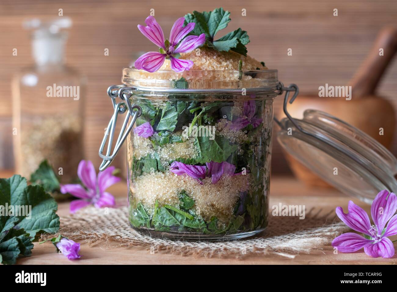 Wild Malva High Resolution Stock Photography And Images Alamy