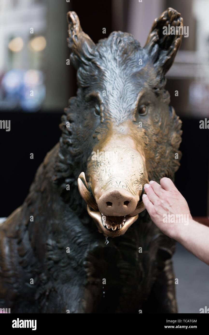 Florence market statue boar hires stock photography and images Alamy