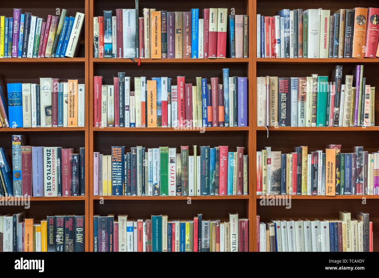 Bookshelf in public library, front view, horizontal. Stock Photo