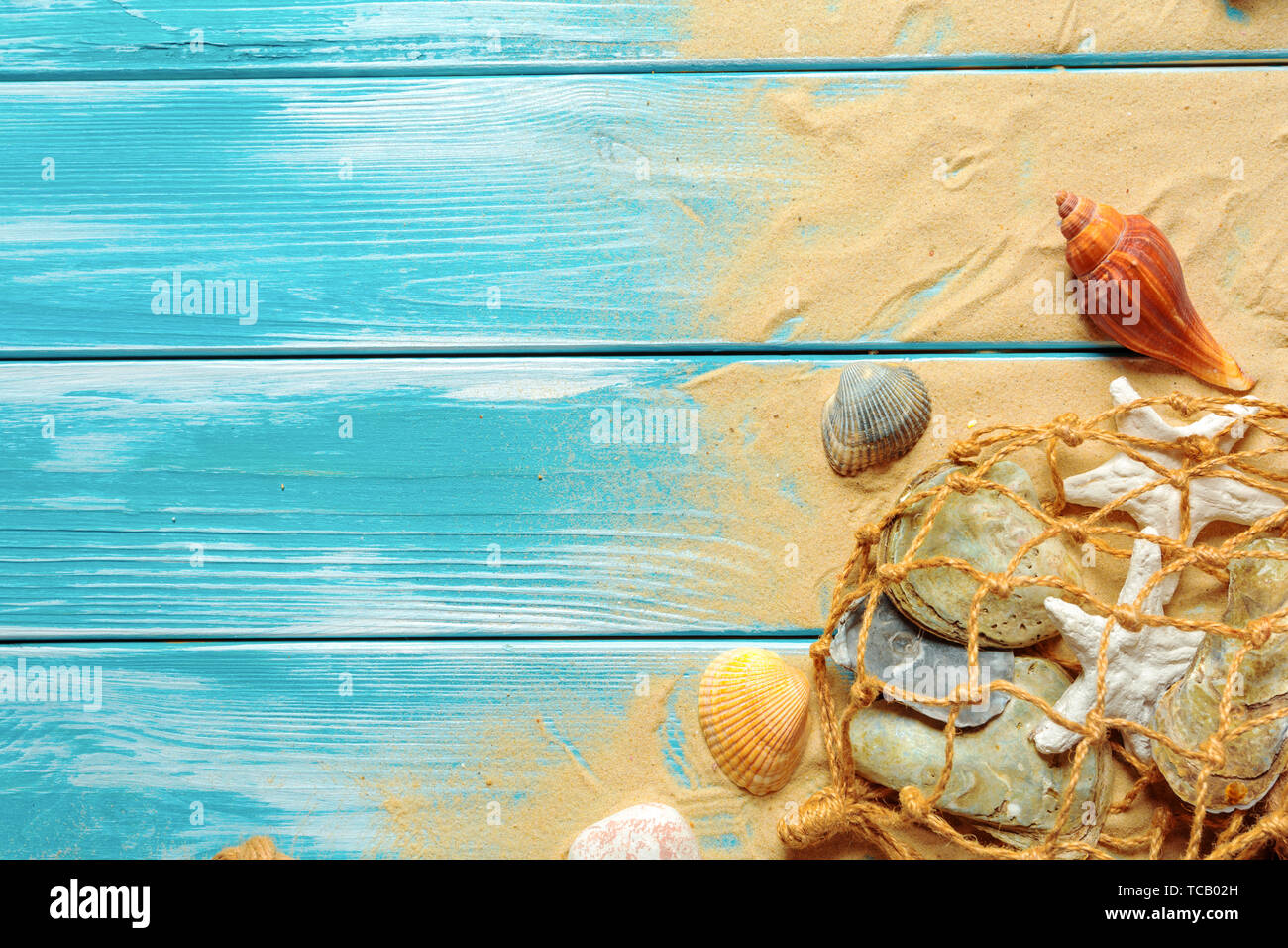 Sea Shell On Ropes sea rope with many different sea shells on the sea sand on a blue ...