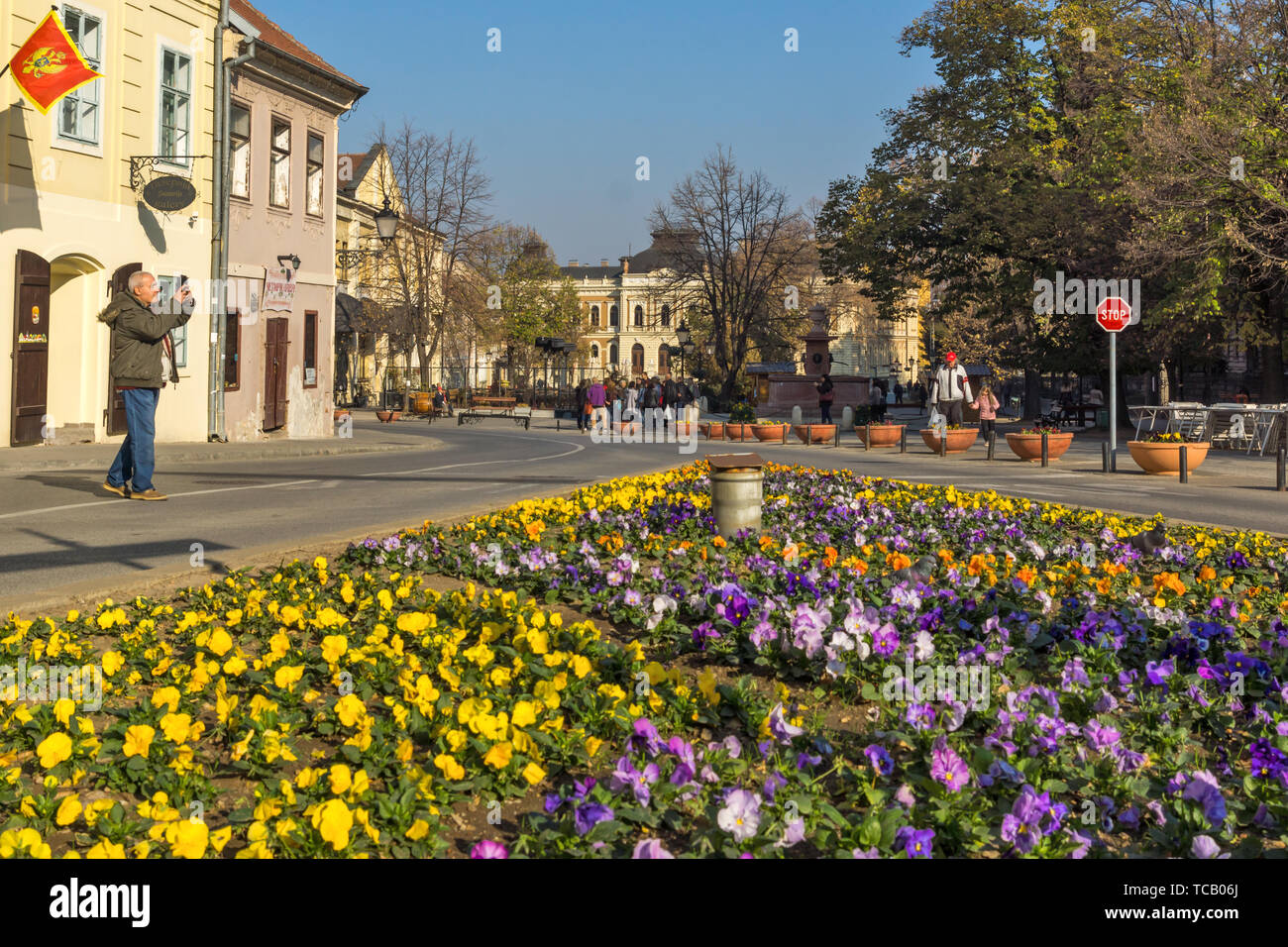 SREMSKI KARLOVCI, VOJVODINA, SERBIA - NOVEMBER 11, 2018: Panoramic view of center of town of Srijemski Karlovci, Vojvodina, Serbia Stock Photo