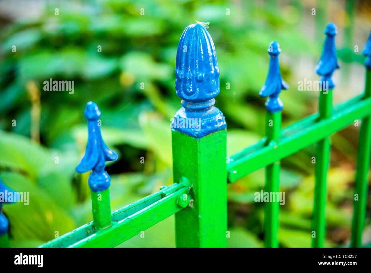 Green wrought iron fence hi-res stock photography and images - Alamy