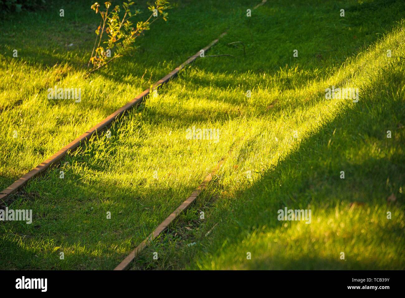 old rails overgrown with grass in light and shadow. Stock Photo