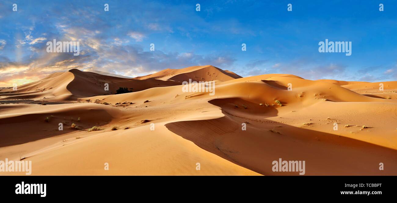 Sahara sand dunes of erg Chebbi, Morocco, Africa. Stock Photo