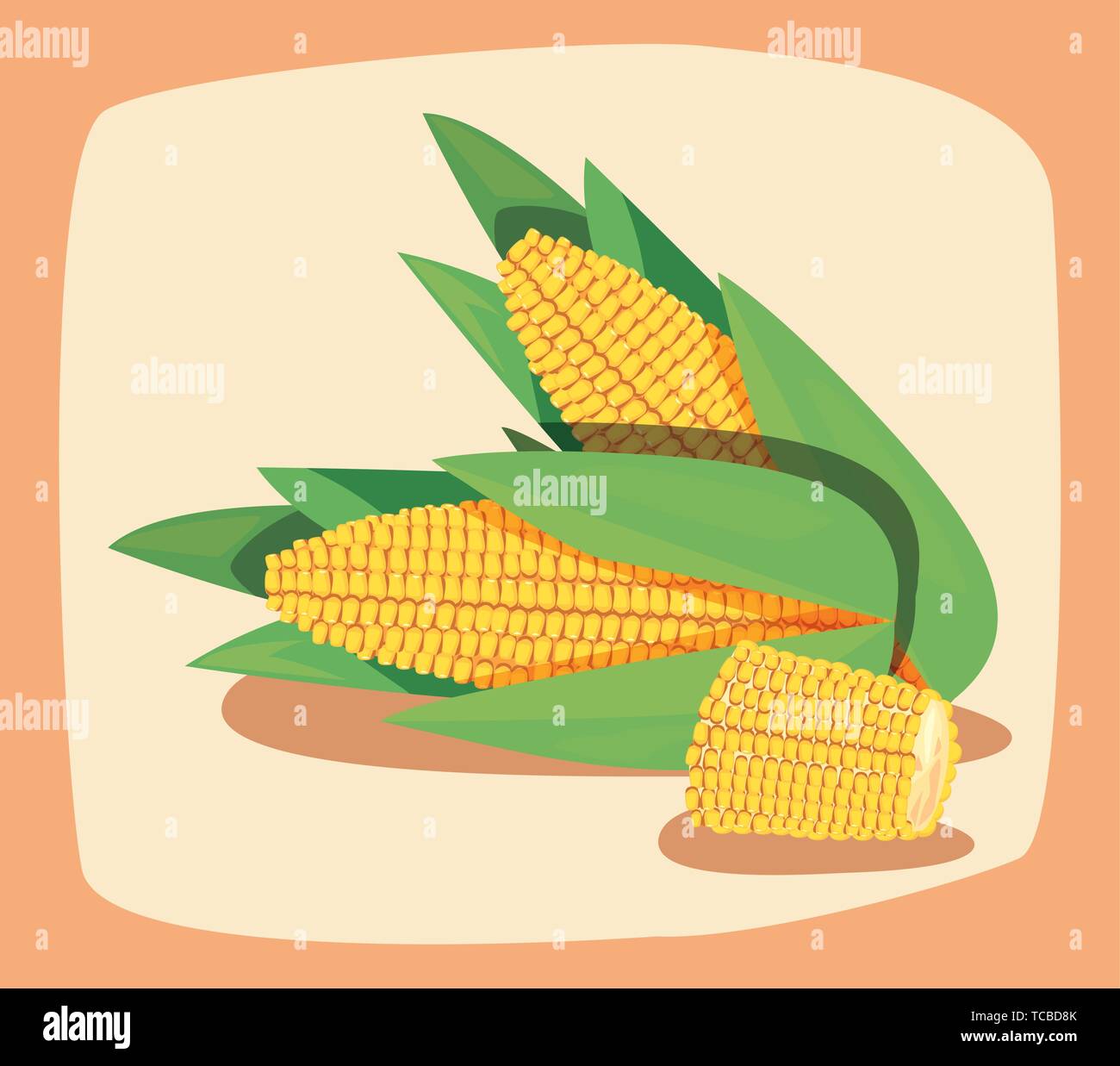 corn fresh vegetables farm food vector illustration Stock Vector Image ...
