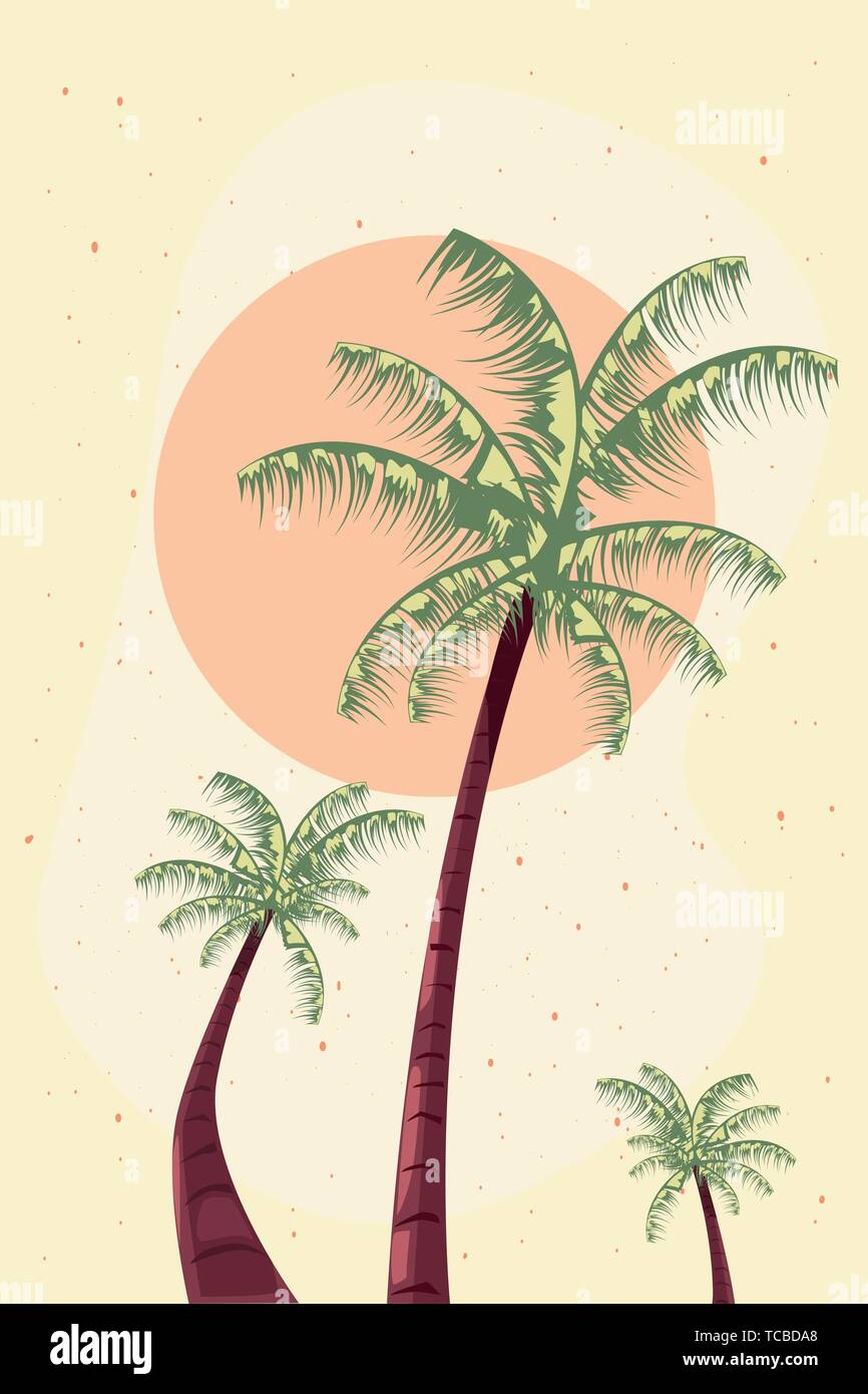 summer time holiday tropical palm trees sun vector illustration Stock ...