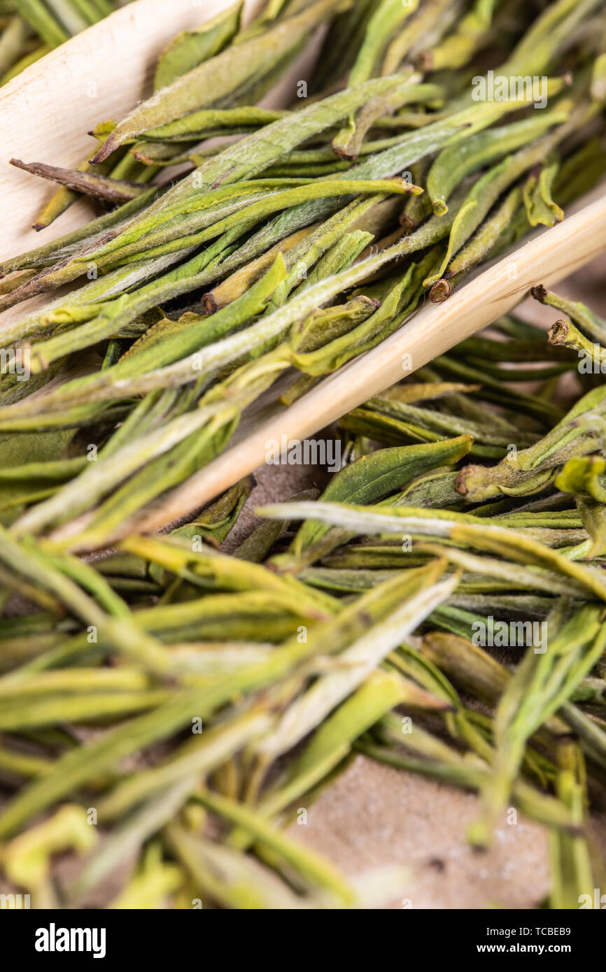 Garden angelica tea hires stock photography and images Alamy