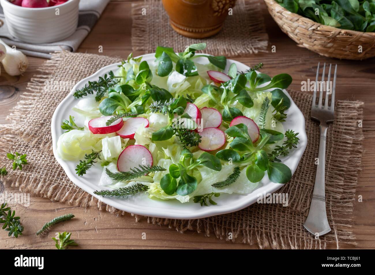 Spring salad with wild edible plants such as chickweed, bedstraw and yarrow. Stock Photo