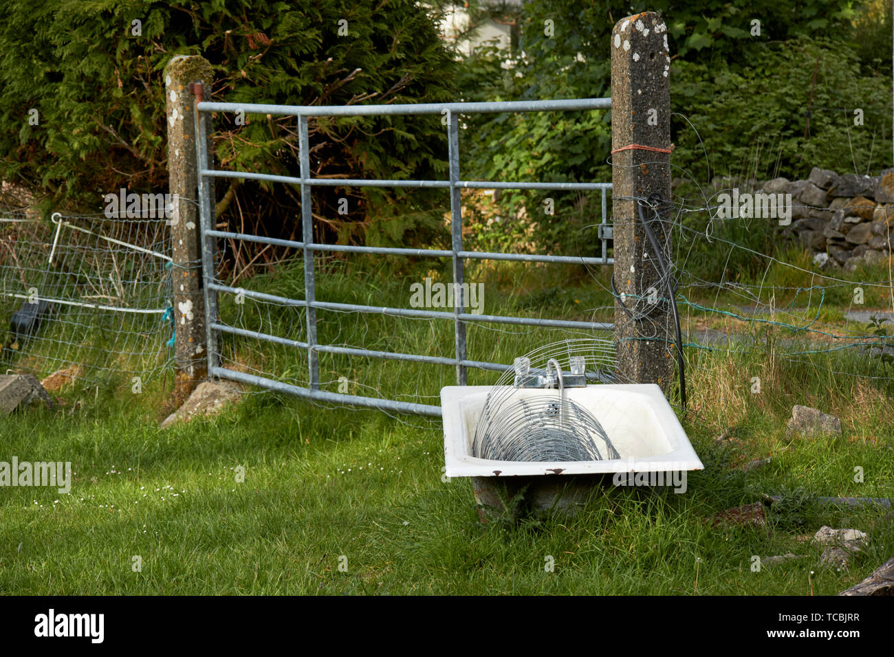 Bath used as water trough hi-res stock photography and images - Alamy