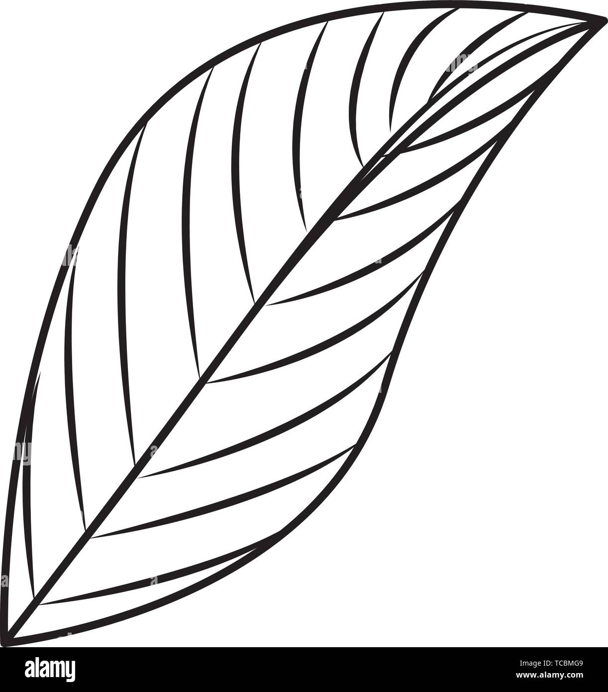 ecology leaf plant icon vector illustration Stock Vector Image & Art ...