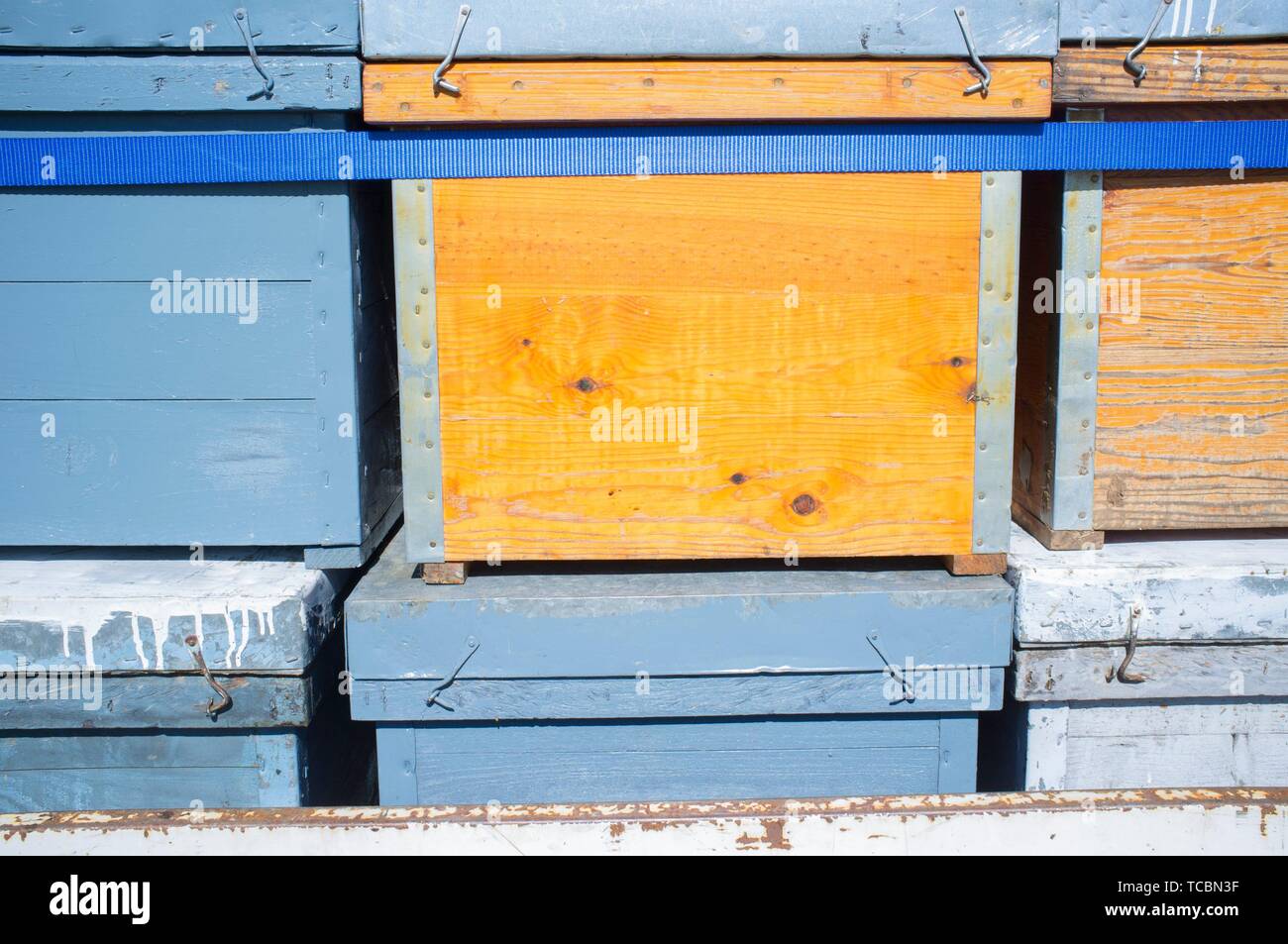 Trailer load with wooden hives ready to move. Beekeepers periodically moves their hives to get better flower fields. Stock Photo