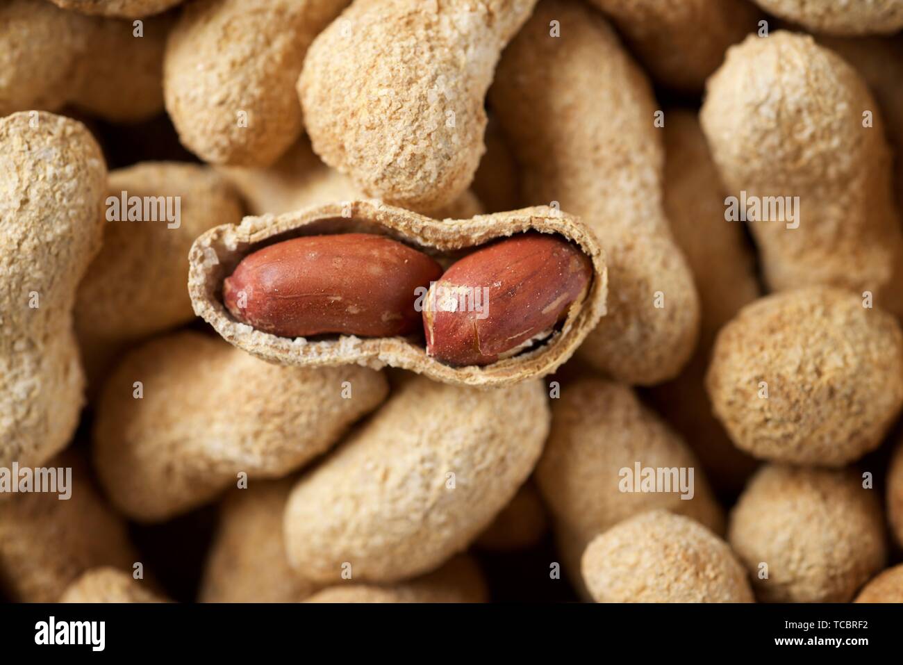 Peanuts with shell on a table Stock Photo Alamy
