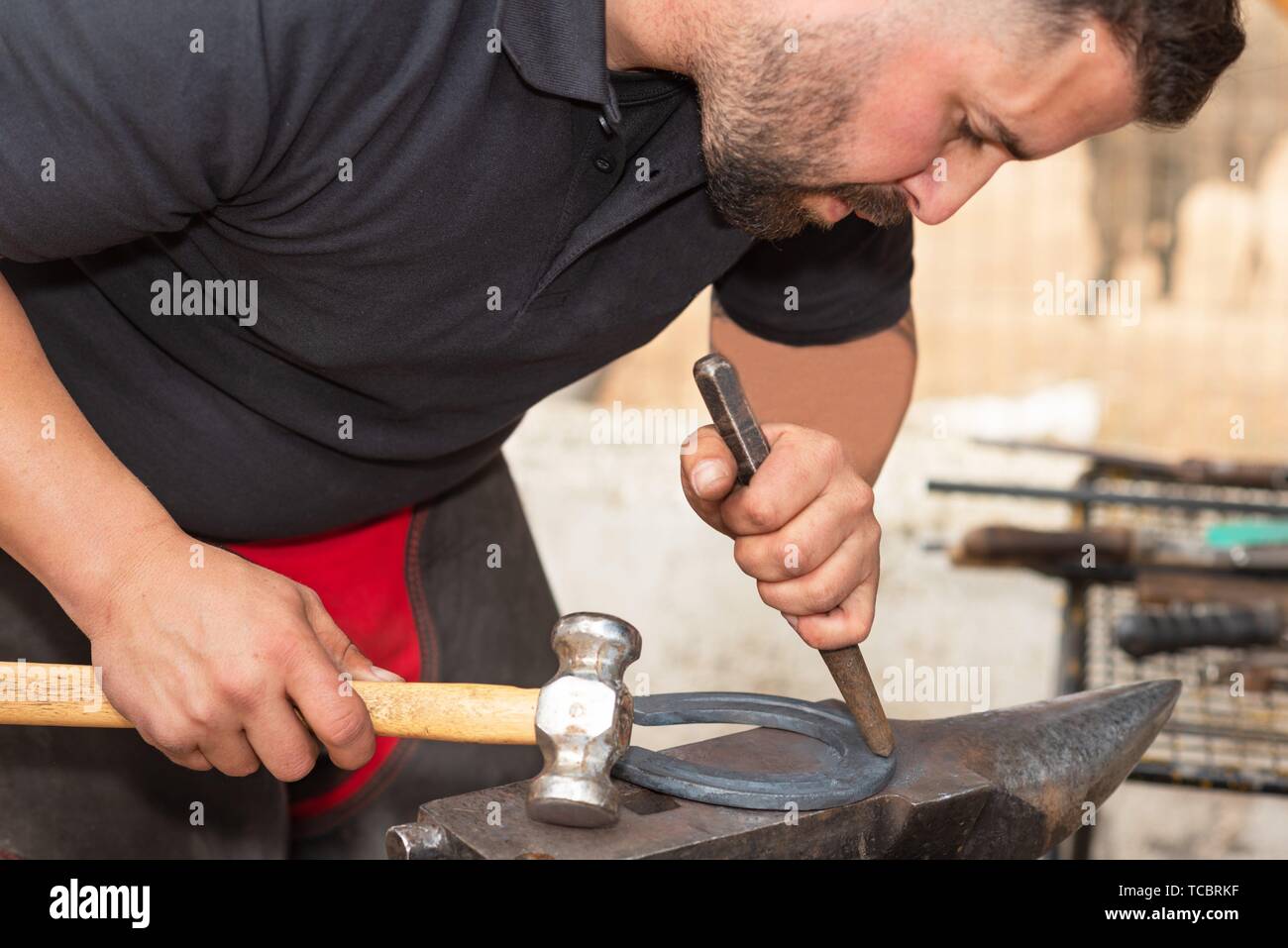 Blacksmith working on the anvil, making a horseshoe Stock Photo Alamy