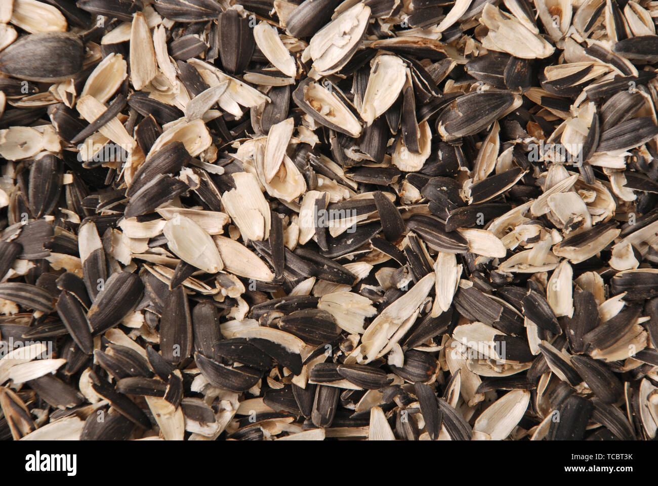 Husks of sunflower seeds. Abstract husks background Stock Photo Alamy