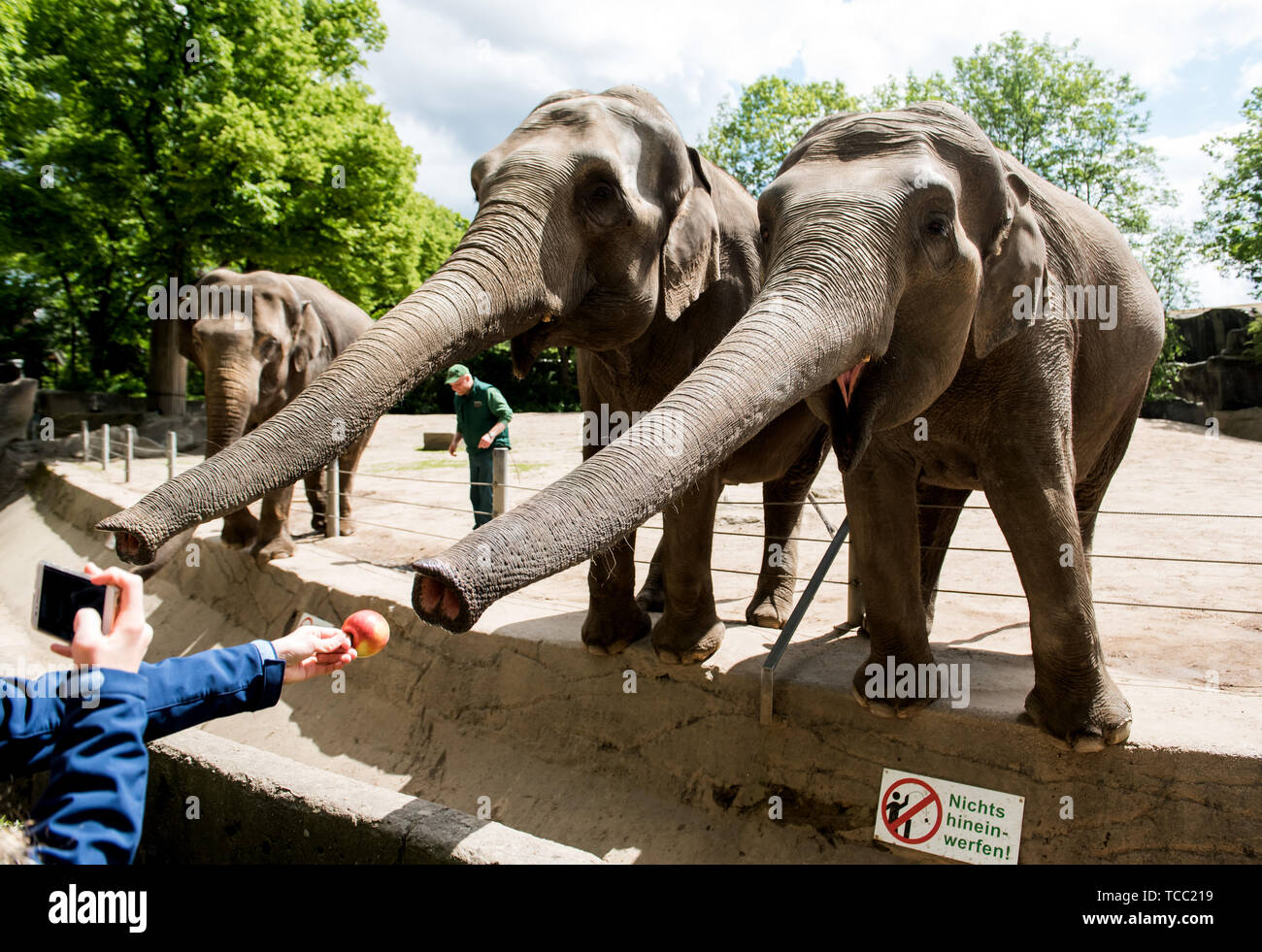 Hamburg Zoo High Resolution Stock Photography And Images Alamy