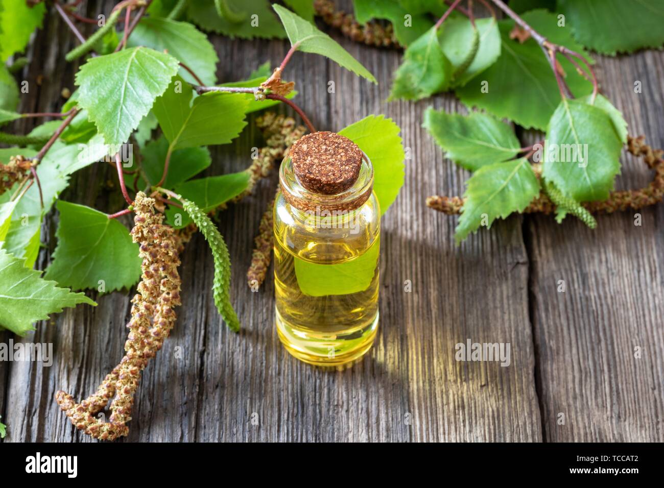 A bottle of essential oil with fresh birch branches. Stock Photo