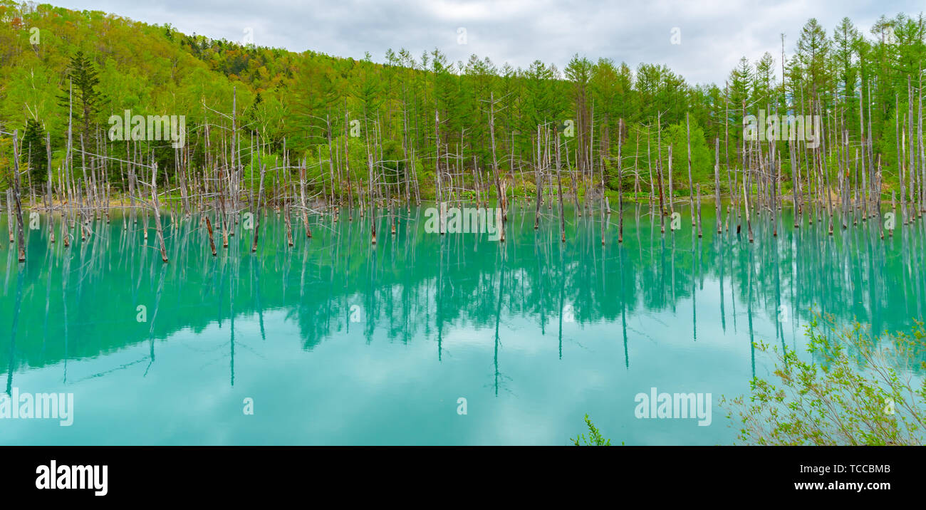 Blue pond (Aoiike) with reflection of tree in summer, located near ...