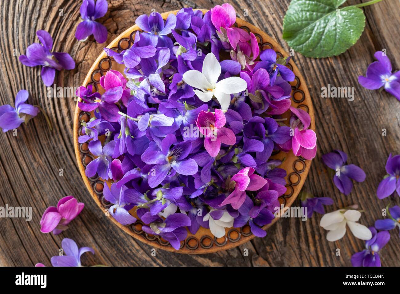 Wood violet flowers in a bowl, top view Stock Photo - Alamy