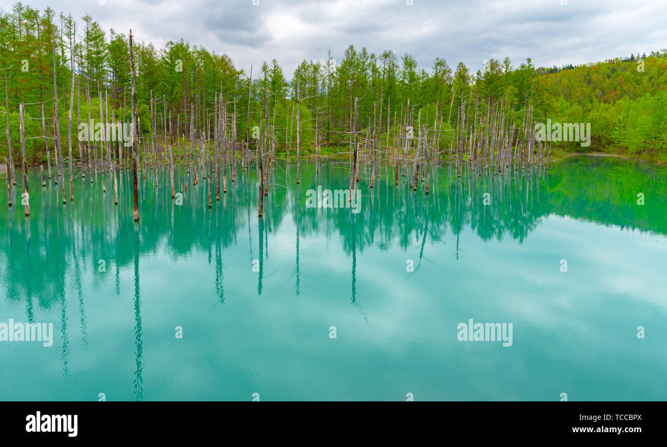 Blue pond (Aoiike) with reflection of tree in summer, located near ...