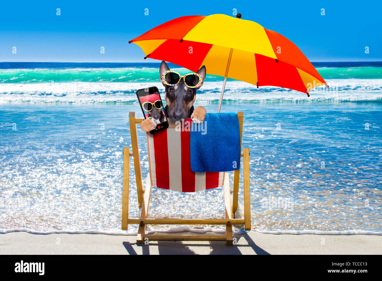 Bull Terrier Umbrella - Blue Bull Terrier Umbrella - Blue