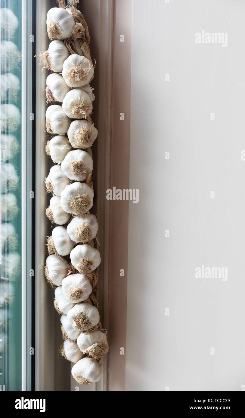 Neapolitan garlic braid leaning against the wall. Stock Photo