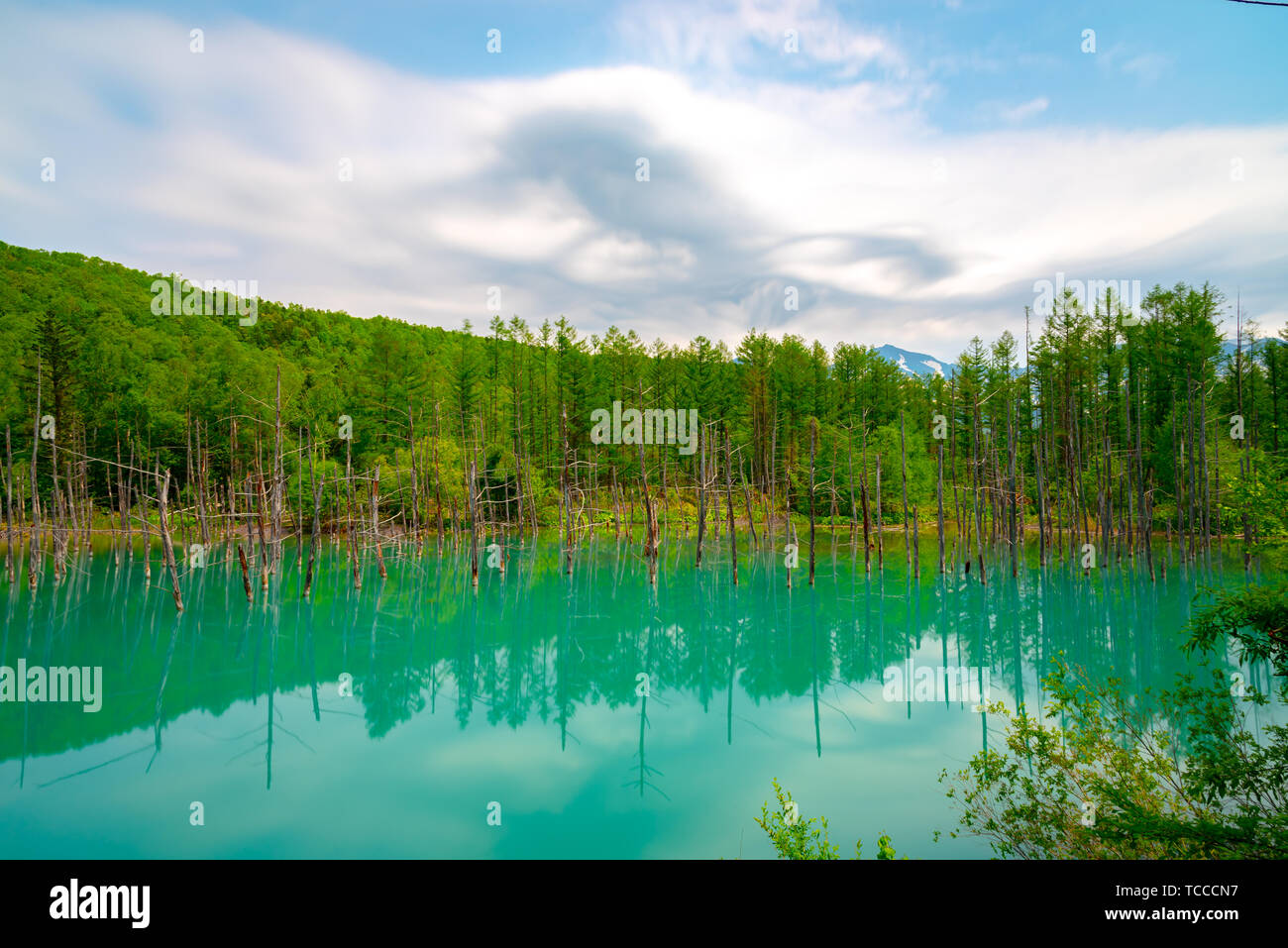 Blue pond (Aoiike) with reflection of tree in summer, located near ...