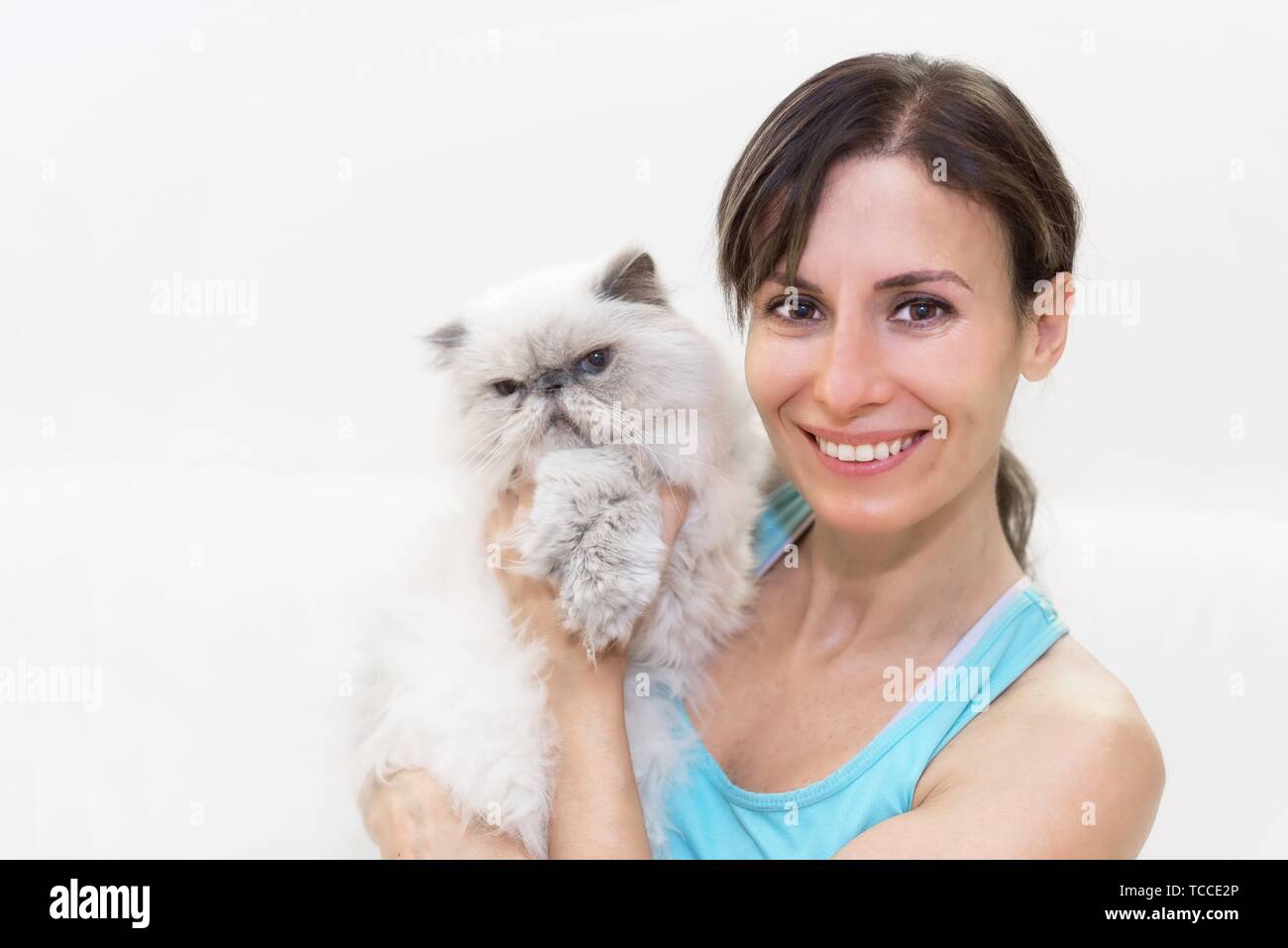 Beauty of cat hires stock photography and images Alamy