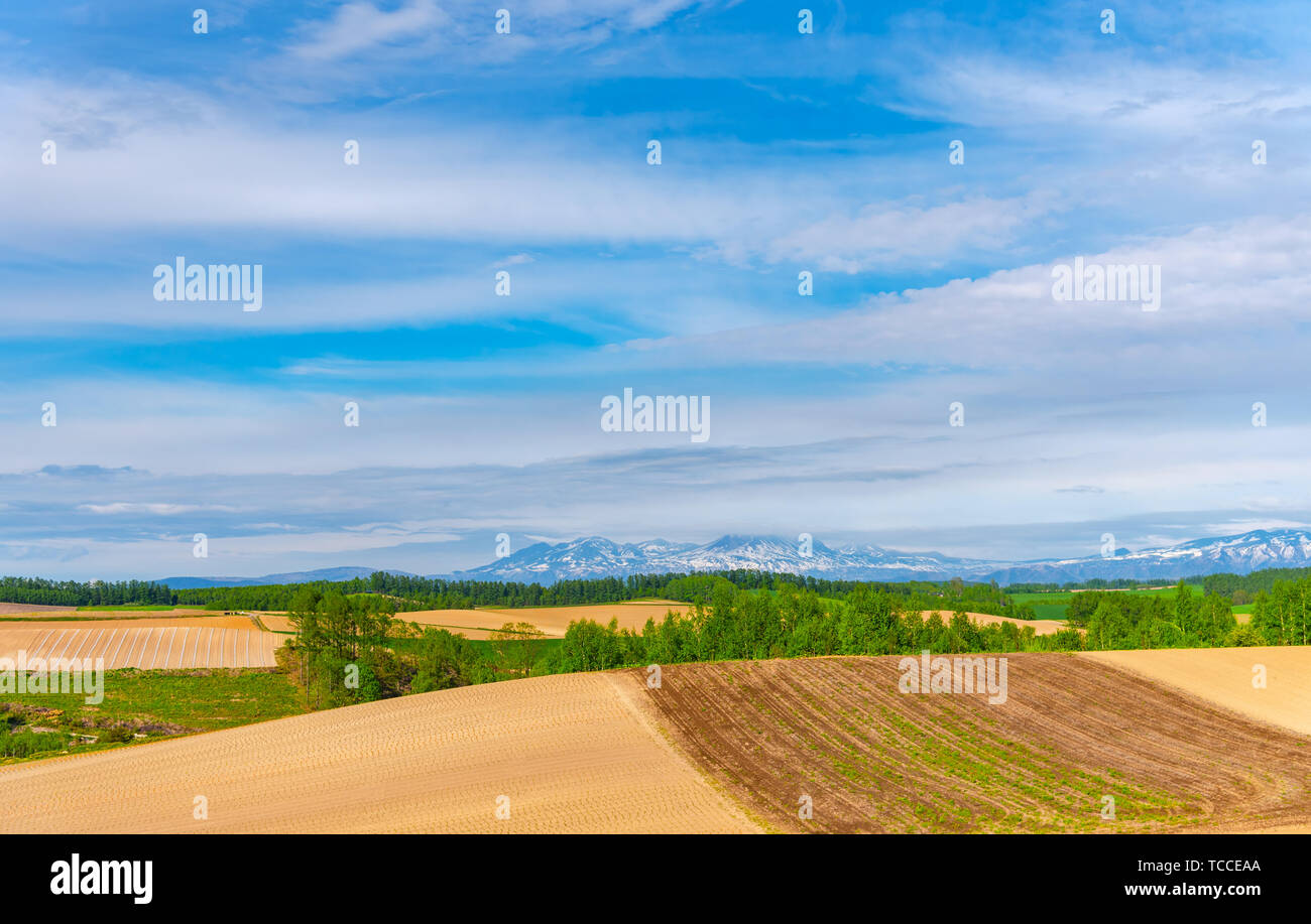 Panoramic rural landscape with mountains. Vast blue sky and white ...