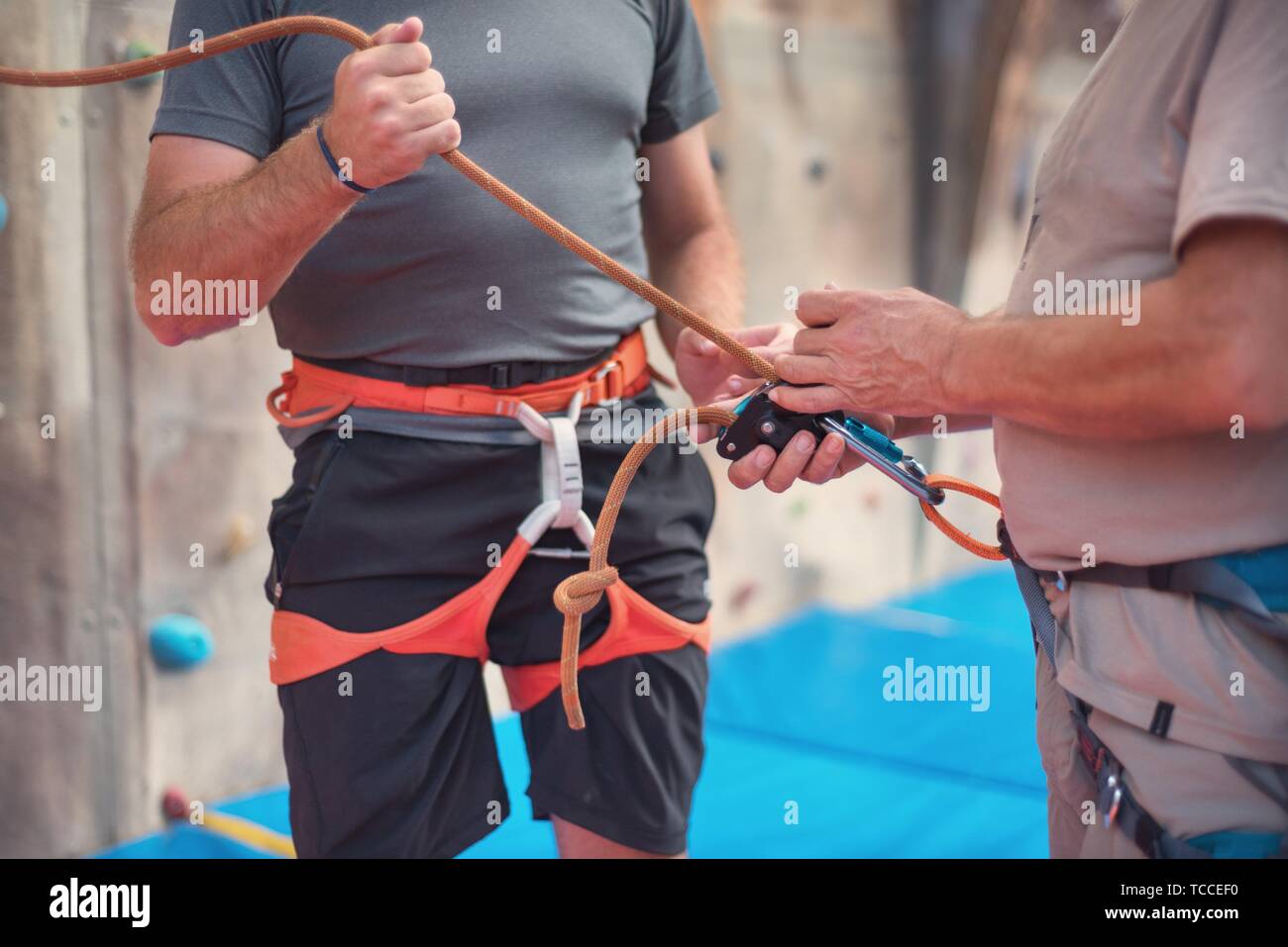 Rock wall climber wearing safety harness and climbing equipment indoor, close-up image. Stock Photo