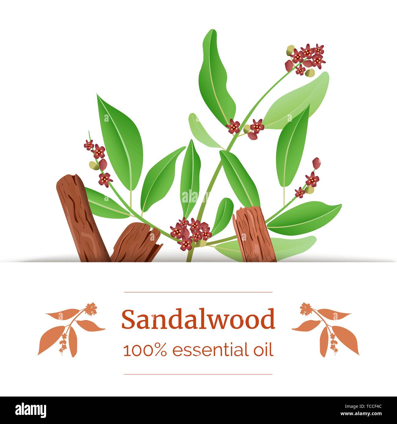 Sandalwood sticks and leaves label. card template with copy space. Card template. essential oil branch. Vector illustration. For prints, posters, flye Stock Vector