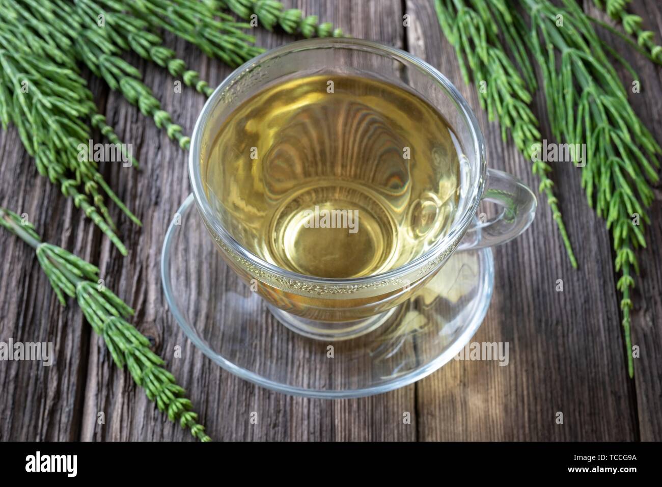 Horsetail tea with fresh plant on a table Stock Photo Alamy
