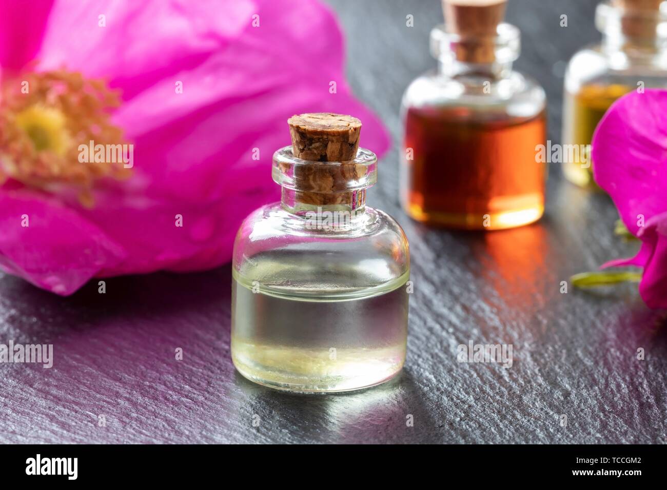 A bottle of essential oil with fresh Rosa Rugosa flowers Stock Photo - Alamy