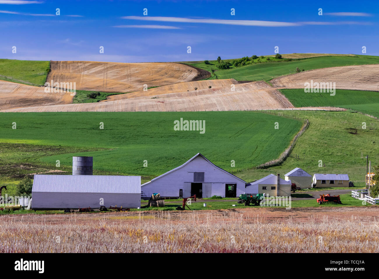 Farm buildings in the rolling hills near Grangeville, Idaho, USA. Stock Photo
