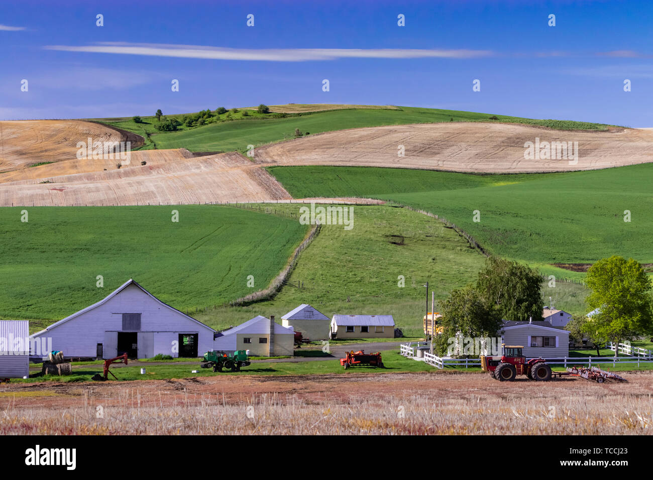 Farm buildings in the rolling hills near Grangeville, Idaho, USA. Stock Photo