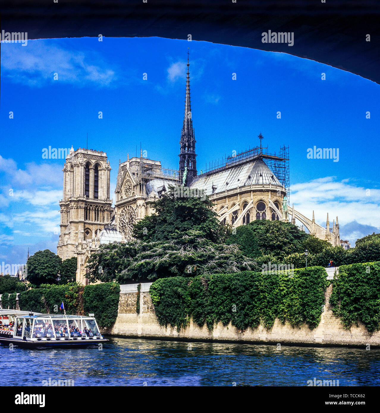 My Image 25