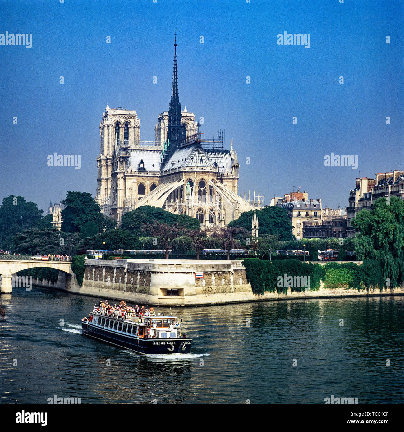 My Image 33