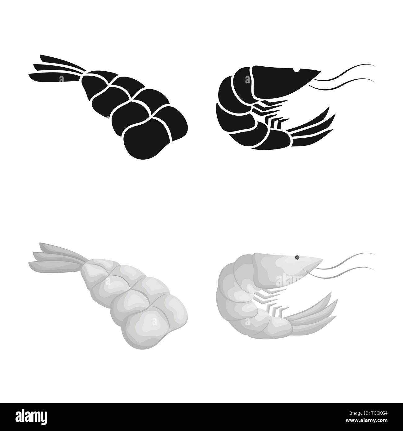prawn,creature,boiled,fresh,restaurant,raw,cooked,aquatic,luxury ...
